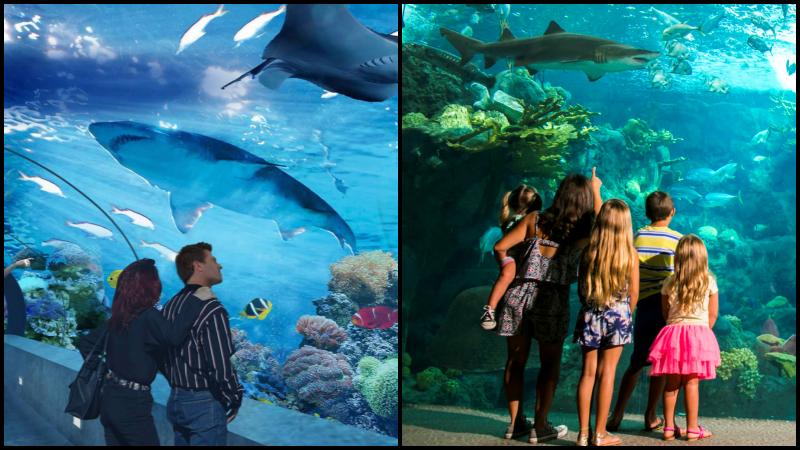 Antalya Tunnel-Aquarium